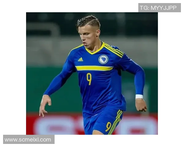 波黑足球明星盘点：那些在国际赛场上闪耀的传奇球员